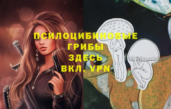 гидропоника Алексеевка