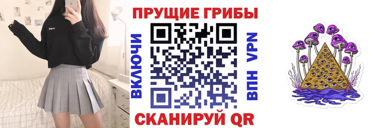 где можно купить наркотик Советская Гавань кракен как зайти Галлюциногенные грибы MAGIC MUSHROOMS